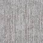 Arctic Willow