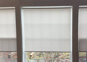 Roller Shades UK 1