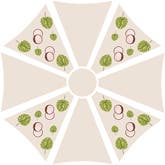 Color Pattern 3